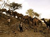 Yemen - From Sana'a to Taiz - 05